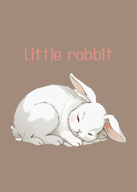 Little rabbit and friend