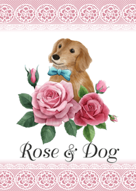 ミニチュアダックスフンドと薔薇