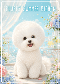 Fluffy Summer Bichon
