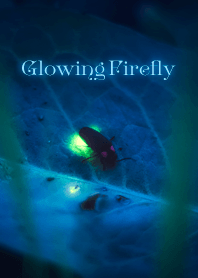 GlowingFirefly