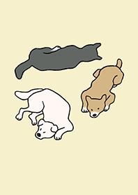 Dogs wancorase_05_Ivory 2