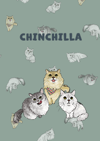 chinchilla1 - dusty green