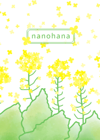 nanohana ~Canola flower~