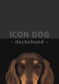 ICON DOG - dachshund - BLACK/12