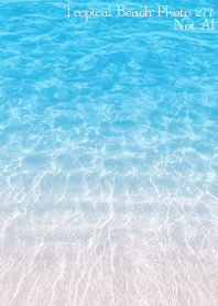 Tropical Beach Photo 277 Not AI