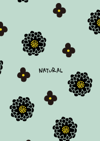 2 types of flowers black14 from Japan