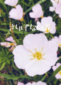 tkc310202105161