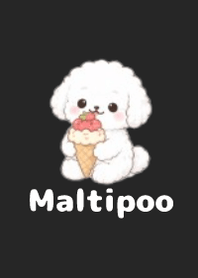 柔軟馬爾泰迪主題2 B-W 02