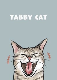 tabbycat4 / mist blue