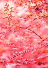 Illusion colored leaves