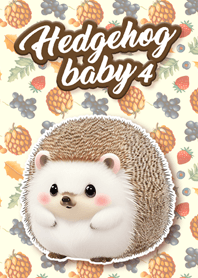 Hedgehog Baby 4