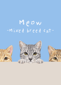Meow - Mixed breed cat 03 - SKY BLUE