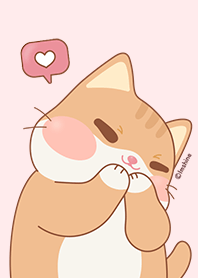 น่ารัก ชีส แมว สีชมพู