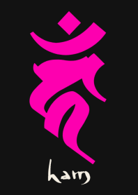 BONJI zodiac [haM] BLACK PINK (0767