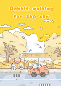 Rabbit waiting for the car1