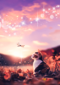 Dragonfly and cat