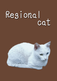 Regional cats e