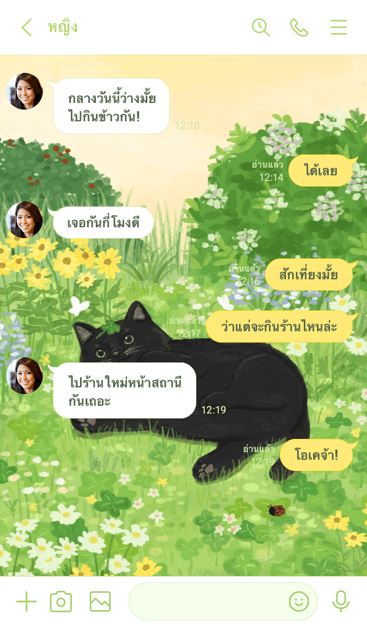 Lucky chubby black cat รูปที่ 3