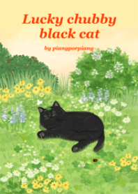 Lucky chubby black cat