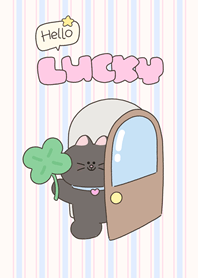 hello lucky (black cat ver.)