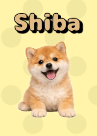 Tema Boneka Shiba Inu Yellow 05