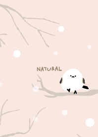 シマエナガ　雪3