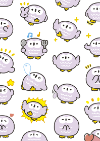 可愛的小貓頭鷹