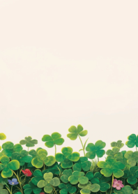 ใบโคลเวอร์ นำโชค มีความโชคดี_19