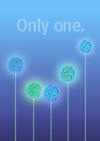 ５フラワーズ＿５flowers