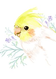 ボタニカルなオカメインコ