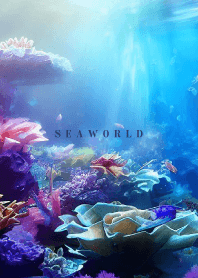 SEA WORLD-hisatoto 2