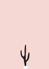 shadow cactus
