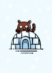 Snowy Rachi