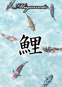 みやもと用和風鯉