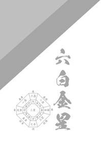Nine Star Ki 2025 Metal