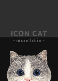 ICON CAT - Munchkin - BLACK/06