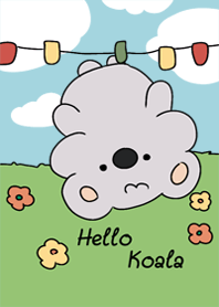 Hello koala