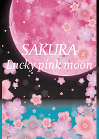 Black Blue : Sakura pink moon