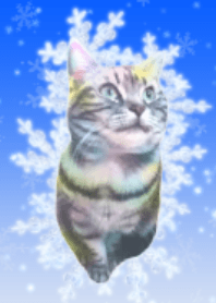 雪の結晶×猫