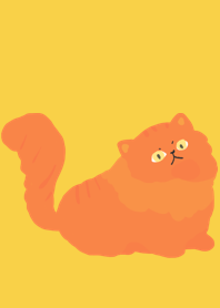 Persian cat orange