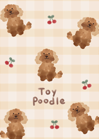 I love fluffy toy poodle5.