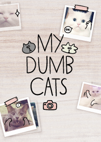 My Dumb Cats