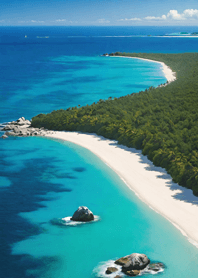 Christmas Little Animals 07B70A