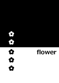花とツートンカラー３