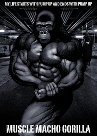 筋肉マッチョゴリラ 04