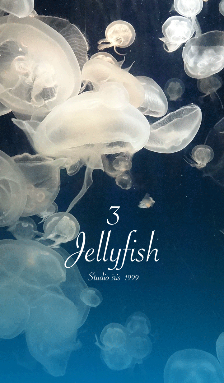 Jellyfish 3