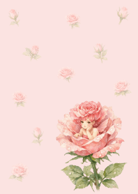 Pink Rose Fairy 2