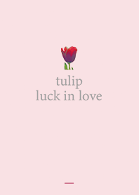 Pink : Love luck tulip