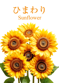 "Sunflower vol.5" theme