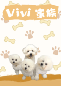 Vivi 家族